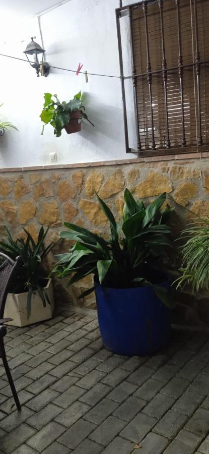 בית הארחה Pegalajar 	Casa Cueva El Almendro מראה חיצוני תמונה