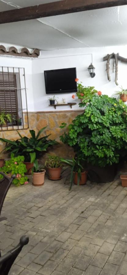 בית הארחה Pegalajar 	Casa Cueva El Almendro מראה חיצוני תמונה
