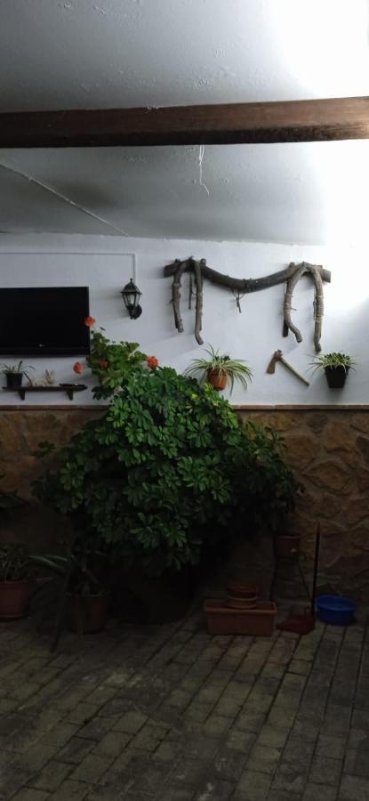 בית הארחה Pegalajar 	Casa Cueva El Almendro מראה חיצוני תמונה